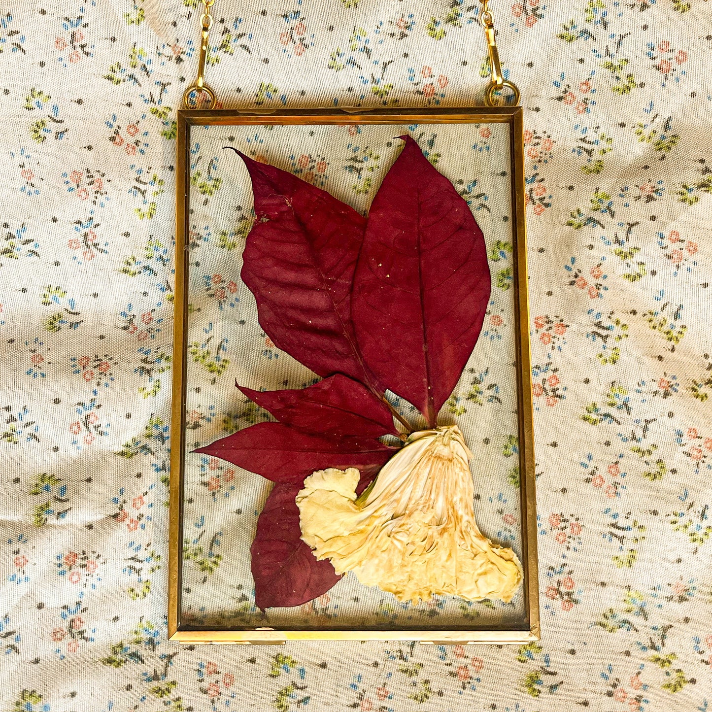 Pressed Poinsettia Hanging Art