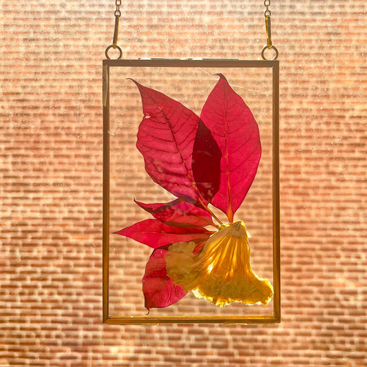 Pressed Poinsettia Hanging Art