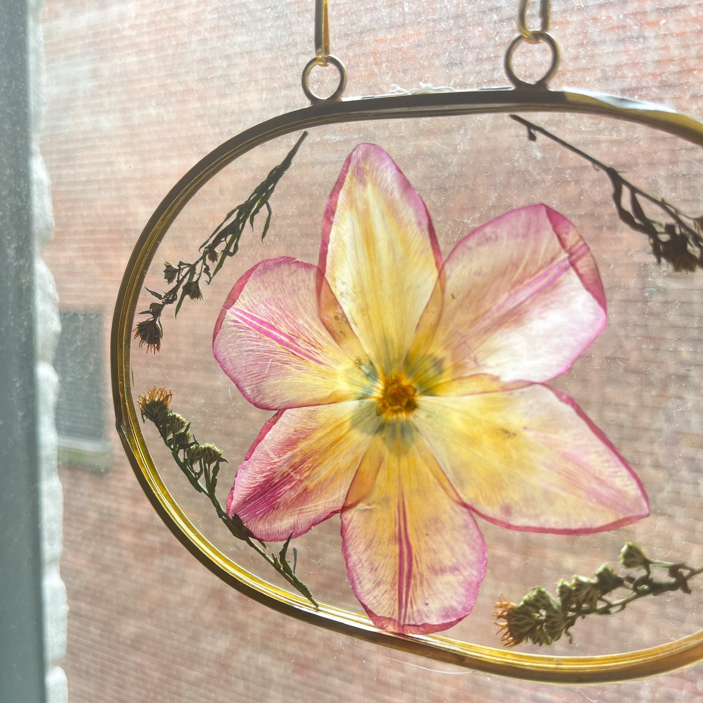 Oval Frame Pressed Tulip Flower Artwork